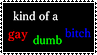 A black stamp with a thin, simple, white border. There is text that reads kind of a gay dumb bitch. The words kind of a are in white, the word gay is in red, the word dumb is in green and the word bitch is in blue.