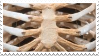 A stamp with an image of a ribcage on it.