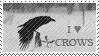 A stamp with a gif of a crow sitting in a snowy area and grey text that reads I love crows.